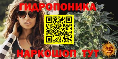 МДПВ Партизанск