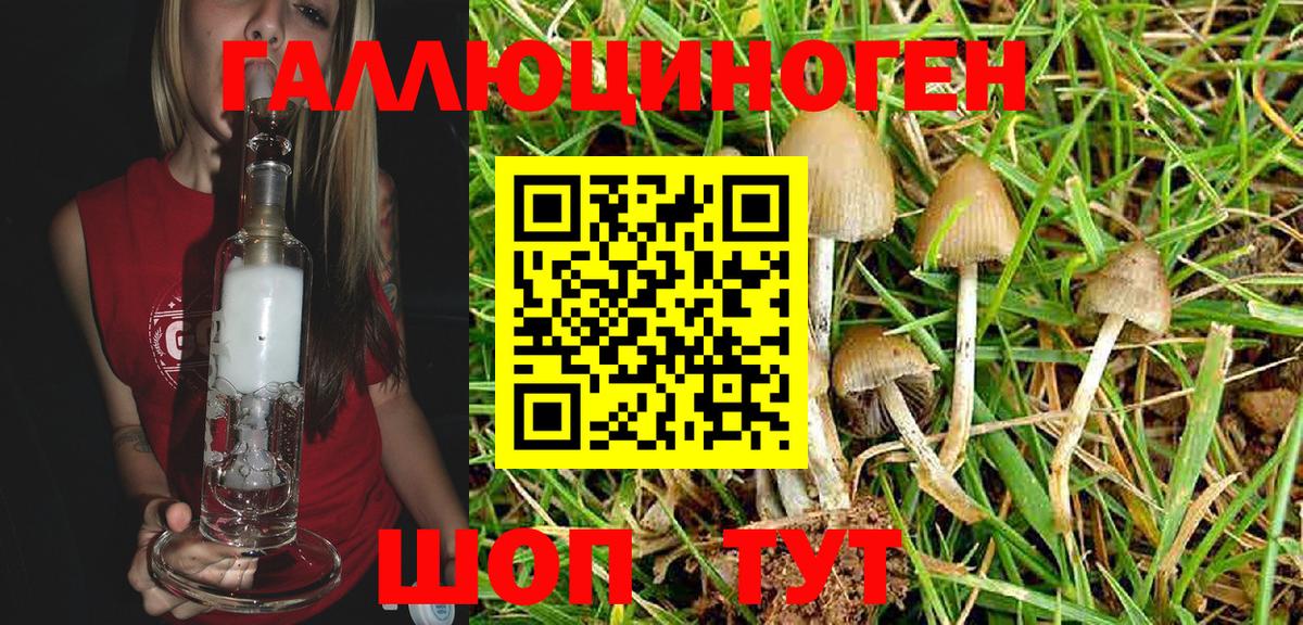 Псилоцибиновые грибы Magic Shrooms  Галлюциногенные грибы Magic Shrooms  Буйнакск  Вход с VPN 